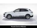 Porsche Cayenne E-Hybrid BOSE Luftfederung Sitzbelüftung Wit - thumbnail 2