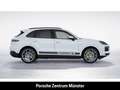 Porsche Cayenne E-Hybrid BOSE Luftfederung Sitzbelüftung Wit - thumbnail 7