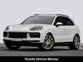 Porsche Cayenne E-Hybrid BOSE Luftfederung Sitzbelüftung Bianco - thumbnail 1