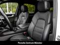 Porsche Cayenne E-Hybrid BOSE Luftfederung Sitzbelüftung Bianco - thumbnail 8