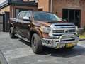 Toyota Tundra 5.7 V8 Crewmax Limited 1794 Edition Brązowy - thumbnail 4