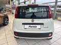 Fiat Sonstige Pandina FireFly Hybrid 70 Icon Weiß - thumbnail 5