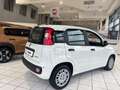 Fiat Sonstige Pandina FireFly Hybrid 70 Icon Weiß - thumbnail 4