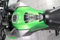 Kawasaki Versys-X 300 0 Adventure Grün - thumbnail 21