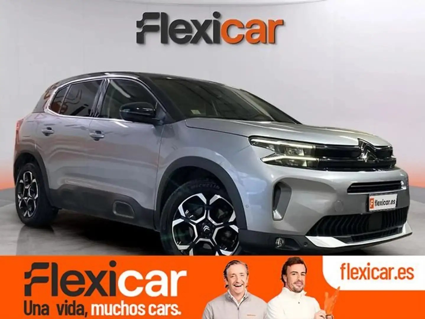 Citroen C5 Aircross BlueHDi S&S Max EAT8 130 Gris - 1