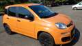 Fiat Panda Panda III 2016 1.2 Pop s Arancione - thumbnail 4