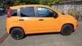 Fiat Panda Panda III 2016 1.2 Pop s Arancione - thumbnail 3
