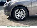 Ford Focus Turnier Titanium*AUTOMATIK/SHZ/GRA/AHK* Braun - thumbnail 19