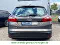 Ford Focus Turnier Titanium*AUTOMATIK/SHZ/GRA/AHK* Braun - thumbnail 5