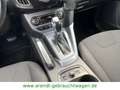 Ford Focus Turnier Titanium*AUTOMATIK/SHZ/GRA/AHK* Braun - thumbnail 14