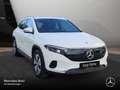 Mercedes-Benz EQA 300 4M PROG+ADVANCED+KAMERA+SPUR Blanc - thumbnail 5