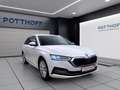 Skoda Octavia Combi 2.0 TDI DSG STYLE NAVI PANO KLIMA PDC Weiß - thumbnail 6