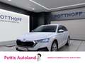 Skoda Octavia Combi 2.0 TDI DSG STYLE NAVI PANO KLIMA PDC Weiß - thumbnail 1