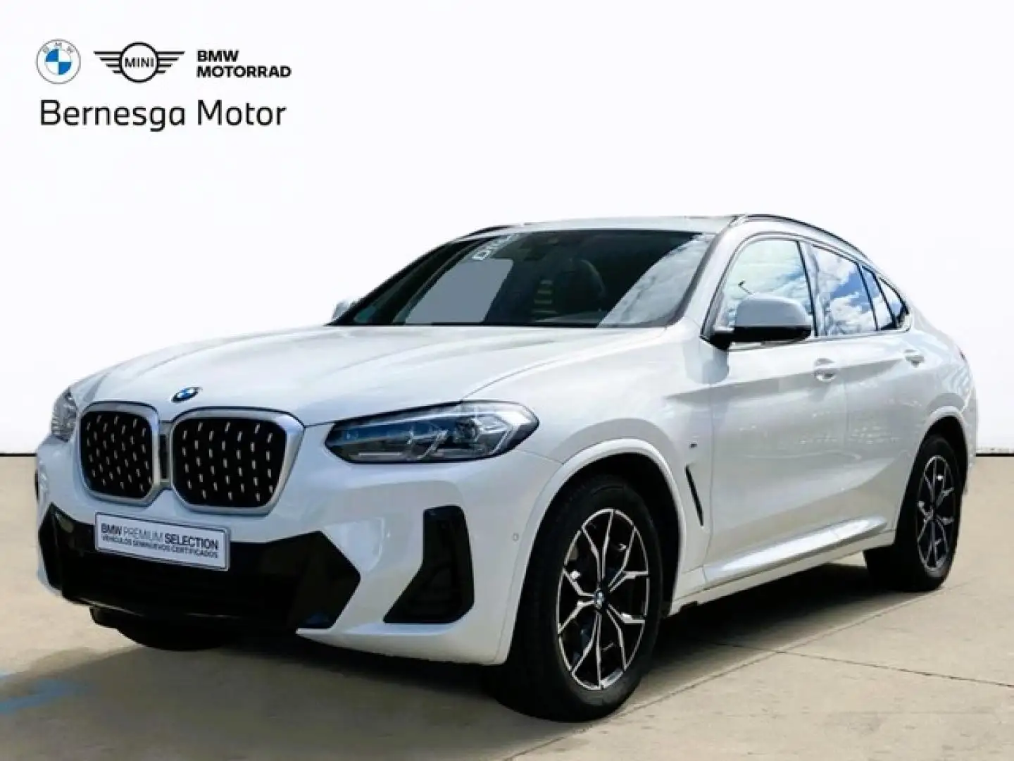 BMW X4 xDrive 20dA xLine Blanco - 1