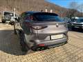 Alfa Romeo Stelvio Quadrifoglio +SCHIEBEDACH+AKRAPOVIC+PANO Gris - thumbnail 13