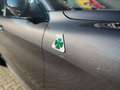 Alfa Romeo Stelvio Quadrifoglio +SCHIEBEDACH+AKRAPOVIC+PANO Gris - thumbnail 2
