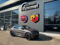 Alfa Romeo Stelvio Quadrifoglio +SCHIEBEDACH+AKRAPOVIC+PANO Gris - thumbnail 1