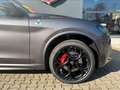 Alfa Romeo Stelvio Quadrifoglio +SCHIEBEDACH+AKRAPOVIC+PANO Gris - thumbnail 7