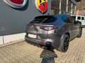 Alfa Romeo Stelvio Quadrifoglio +SCHIEBEDACH+AKRAPOVIC+PANO Gris - thumbnail 12
