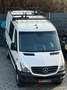Mercedes-Benz Sprinter 519 CDI 4X4/Klima/Bi-Xenon/Sonderaufbau Weiß - thumbnail 3