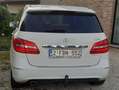 Mercedes-Benz B 200 B 200 CDI Wit - thumbnail 4
