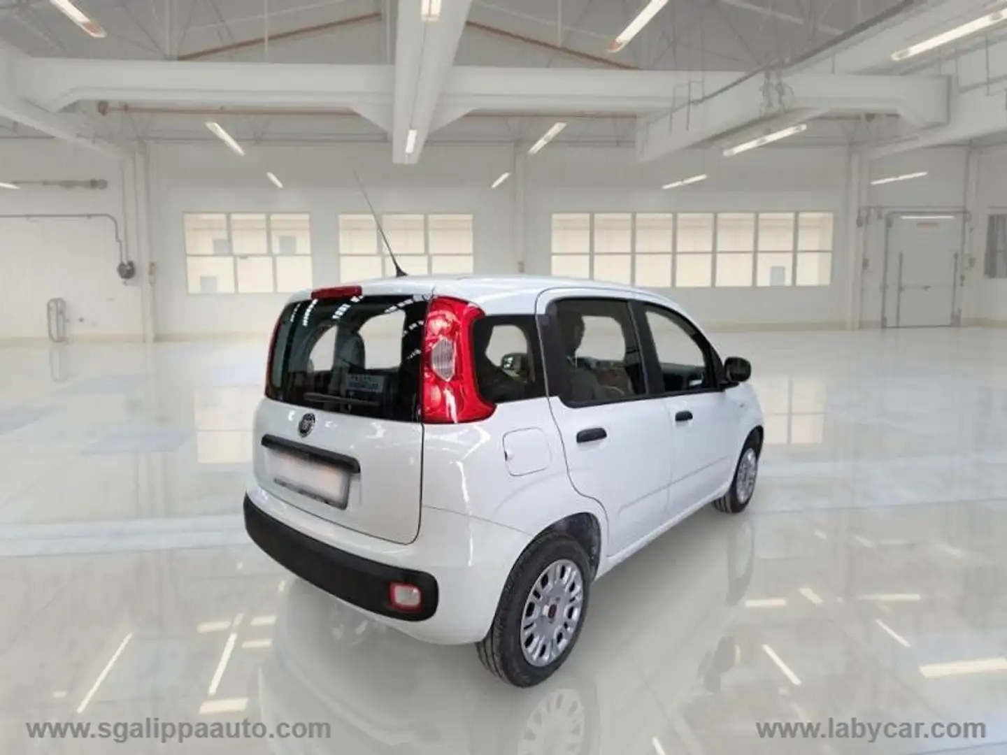 Fiat Panda 1.2 Easy Bianco - 2