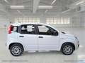 Fiat Panda 1.2 Easy Bianco - thumbnail 4