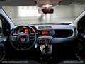 Fiat Panda 1.2 Easy Bianco - thumbnail 6