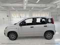 Fiat Panda 1.2 Easy Bianco - thumbnail 3