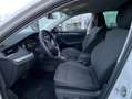Skoda Octavia Combi 2.0 TDI DSG Style HEAD-UP+SMART-LI Weiß - thumbnail 10