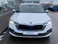 Skoda Octavia Combi 2.0 TDI DSG Style HEAD-UP+SMART-LI Weiß - thumbnail 7