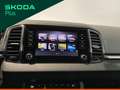 Skoda Karoq 2.0 tdi evo scr 115cv executive dsg - thumbnail 13