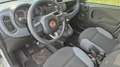Fiat Panda III 1.2 69 Pop Blanc - thumbnail 8