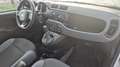 Fiat Panda III 1.2 69 Pop Blanc - thumbnail 10