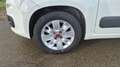 Fiat Panda III 1.2 69 Pop Blanc - thumbnail 18