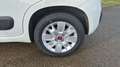 Fiat Panda III 1.2 69 Pop Blanc - thumbnail 19