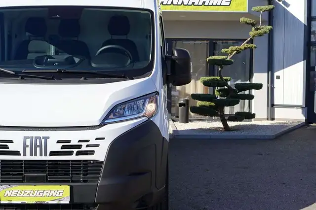 Fiat Ducato view 10