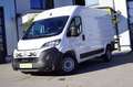Fiat Ducato 35+ (verstärkt) L2H2 BlueHDi 140 KLIMA*RKAM Weiß - thumbnail 8