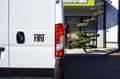 Fiat Ducato 35+ (verstärkt) L2H2 BlueHDi 140 KLIMA*RKAM Weiß - thumbnail 6