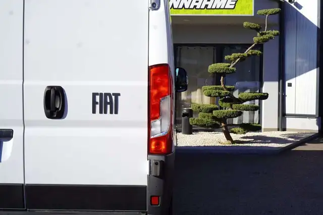 Fiat Ducato view 6