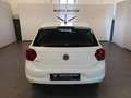 Volkswagen Polo 1.6 TDI 95 CV DSG 5p. Highline BlueMotion Tech. Bianco - thumbnail 5