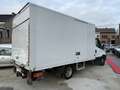 Iveco Daily 35C13 2.3 Diesel--AVEC ELEVATEUR--TVA RECUPERABLE Blanc - thumbnail 6