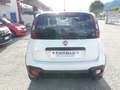 Fiat Panda 1.2 City Cross 2WD - 34.000 KM Bianco - thumbnail 11