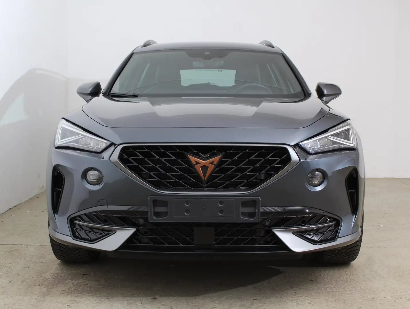 CUPRA Formentor 2.0 TDI 150 PS Grau - 2