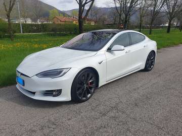 Model S Performance Ludicrous awd - Batterie nuove