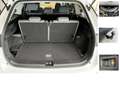 Skoda Kodiaq TDI 4x4 Selection AHK ACC 5JG Matrix Pano Wit - thumbnail 18