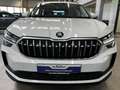 Skoda Kodiaq TDI 4x4 Selection AHK ACC 5JG Matrix Pano Wit - thumbnail 20