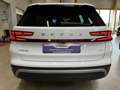 Skoda Kodiaq TDI 4x4 Selection AHK ACC 5JG Matrix Pano Wit - thumbnail 21