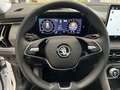 Skoda Kodiaq TDI 4x4 Selection AHK ACC 5JG Matrix Pano Blanc - thumbnail 11