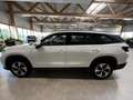 Skoda Kodiaq TDI 4x4 Selection AHK ACC 5JG Matrix Pano Wit - thumbnail 24